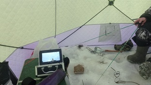 Подводная съемка в Де-Кастри январь 2025