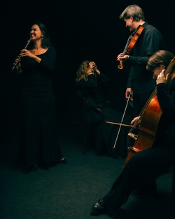 Концерты ансамбля Una Volta