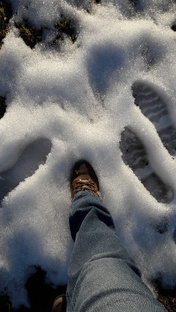 наблюдения