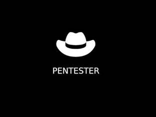 Pentest= легальный тест на взлом