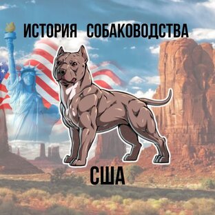 История собаководства в США.