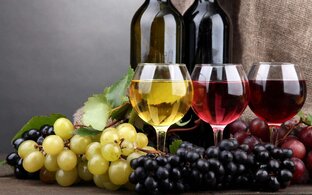 Гид по винам в торговых сетях России