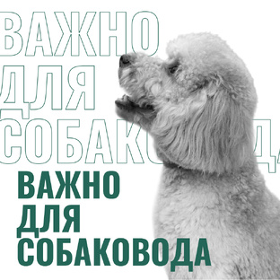 Важно для собаковода
