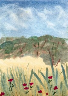 Чувства и эмоции