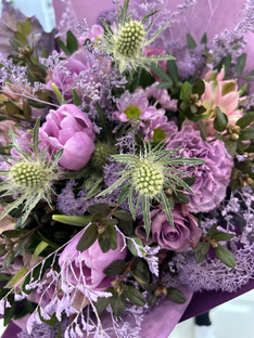 Наши цветы 🌷 