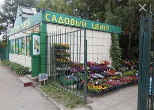 🌺 Советы к садовому сезону - 1