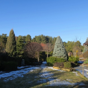 Один год в моем саду. 2025