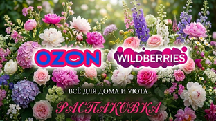 WILDBERRIES и OZON