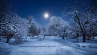 Лунный календарь