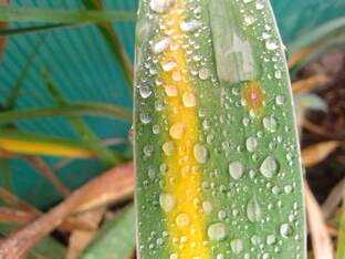 Осенний полдень в фото