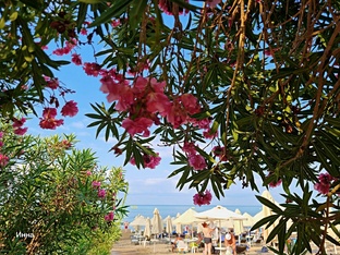 Турция, которую я люблю