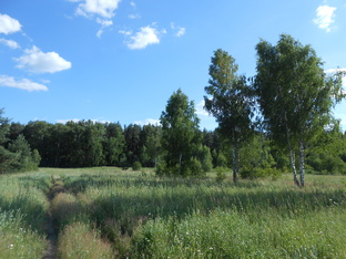 О этот отдых на Природе