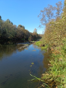 Дачные истории. Дачные хитрости. Сад. Река. Дача.