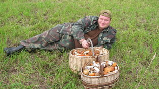 Приемная Доктора Д