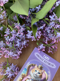 Таро по знакам зодиака 2025