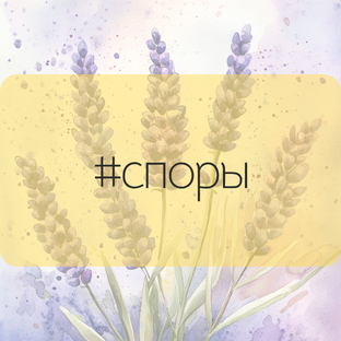 Споры