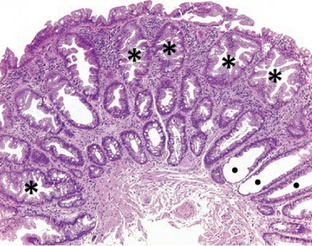 Разборы микропрепаратов