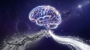 Сознание и мозг 🧠 