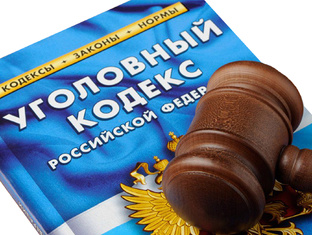 Особенности обжалования приговоров по отдельным статьям УК РФ
