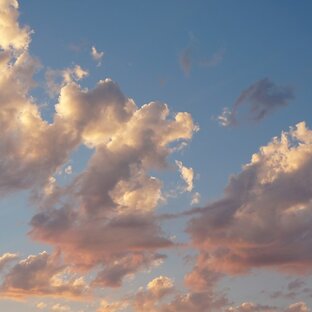 Образование и наука