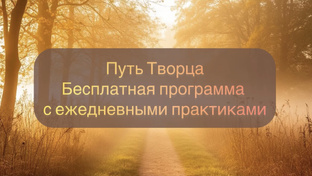 365 дней практики