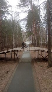 Велопрогулки