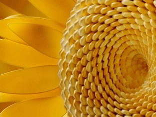 Цвета сезона осень-зима 2024/2025