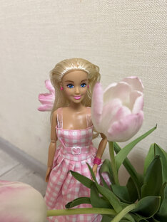 Аналоги Барби 