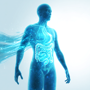 Кишечник и кожа: как здоровье ЖКТ отражается на лице и теле