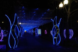 Парки и аллеи