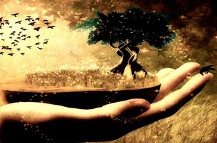 Философия жизни