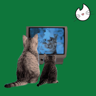 Видео с животными 