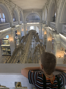 По музеям Петербурга