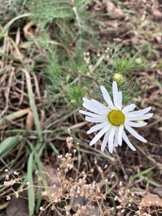 Авторские истории, сказки, притчи
