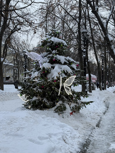 Новогоднее оформление Москвы 2026
