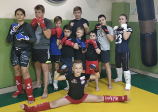 Смешанные единоборства 