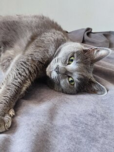 Мудрость от Дымы