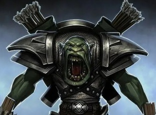 Категория "субъективное мнение"