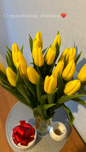 🌷Влоги🌷