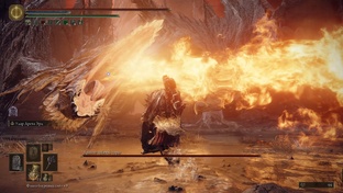 Полное прохождение дополнения Shadow of the Erdtree игры Elden Ring. Только бой.