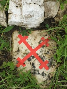 Богиня МАРА