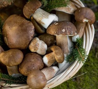 Грибные блюда