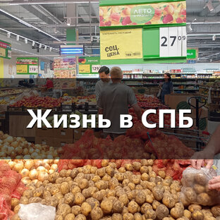 Жизнь и быт