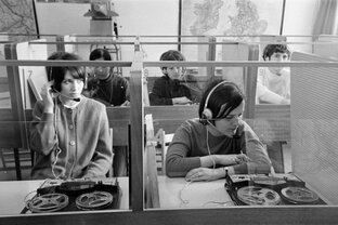 Лингвистика