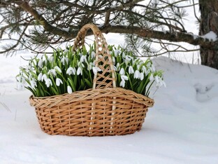 Всякая всячина