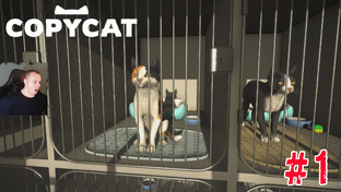 Copycat