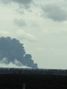 Жалко нефть. 