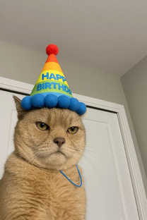 Праздничные мемы 🥳