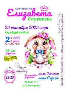 Детская метрика