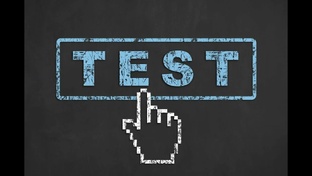 Громозека Тест